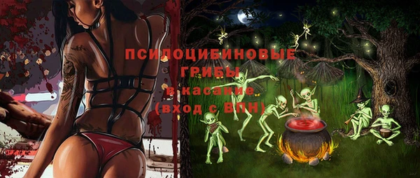 прущий лед Верея