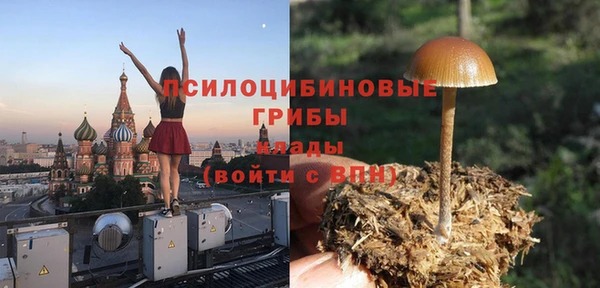 прущий лед Верея