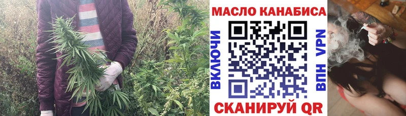 ТГК концентрат  Купить где  Ржев 